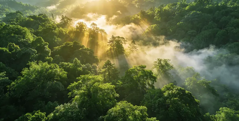 赣州肺癌靶向120基因检测（组织）图片1