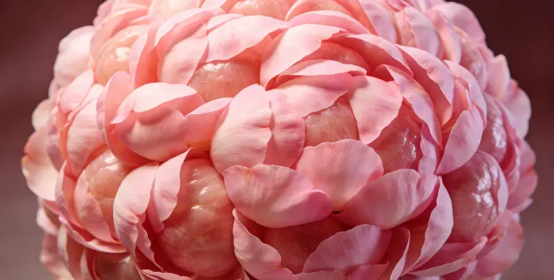 赣州BRCA1/2乳腺癌卵巢癌基因检测图片1