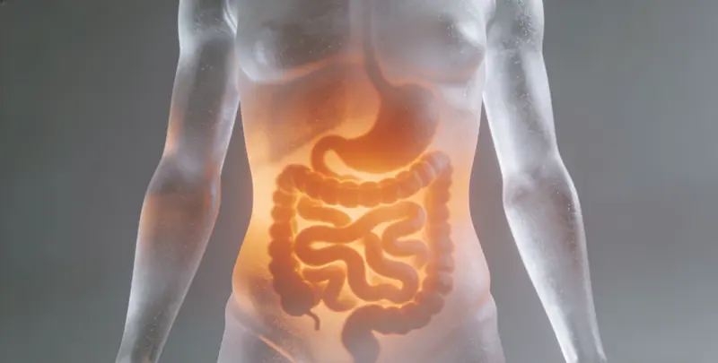 赣州胃癌全面用药基因检测（组织）图片1